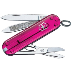 Швейцарский нож Victorinox Classic 0.6203.Т5
